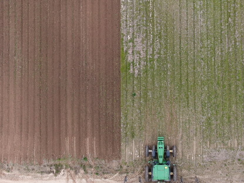 DeltaBanderRenewExistingBeds